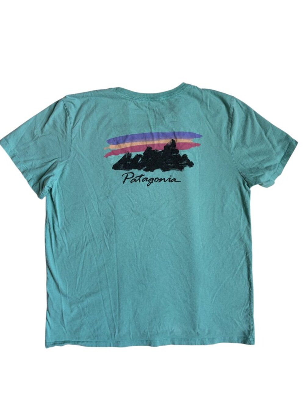 Patagonia Freehand Fitz Roy Graphic T-Shirt (Green) - Medium